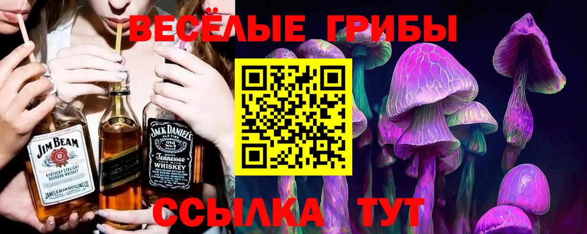 Гагарин  Псилоцибиновые грибы мицелий  Вход с VPN 