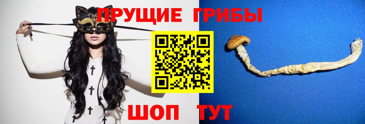 Псилоцибиновые грибы прущие грибы Гагарин